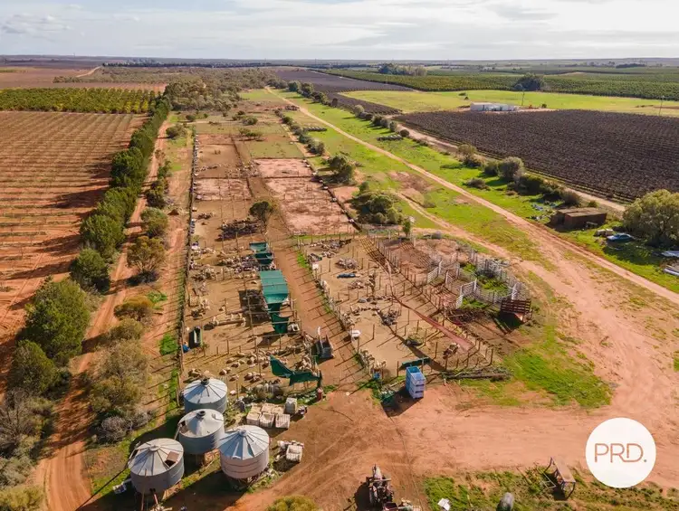 Sixth view of Homely rural property listing, 410 Sculthorpe Road, Nangiloc VIC 3494