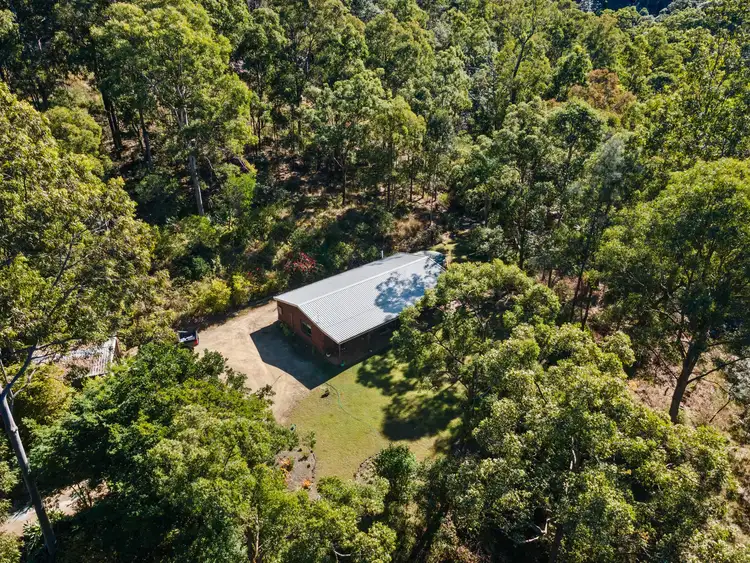 221 Mcginn Road, Ferny Grove QLD 4055