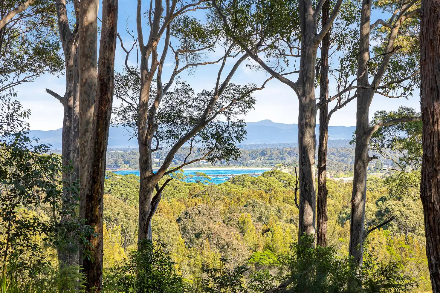 Main view of Homely house listing, 21 Roseby Drive, Rosedale NSW 2536