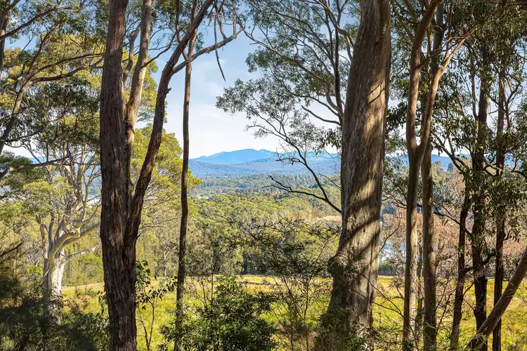 Fourth view of Homely house listing, 21 Roseby Drive, Rosedale NSW 2536