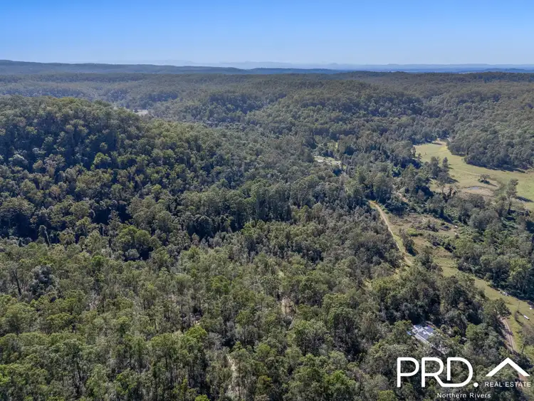 115 Upper Cherry Tree Road, Upper Mongogarie NSW 2470