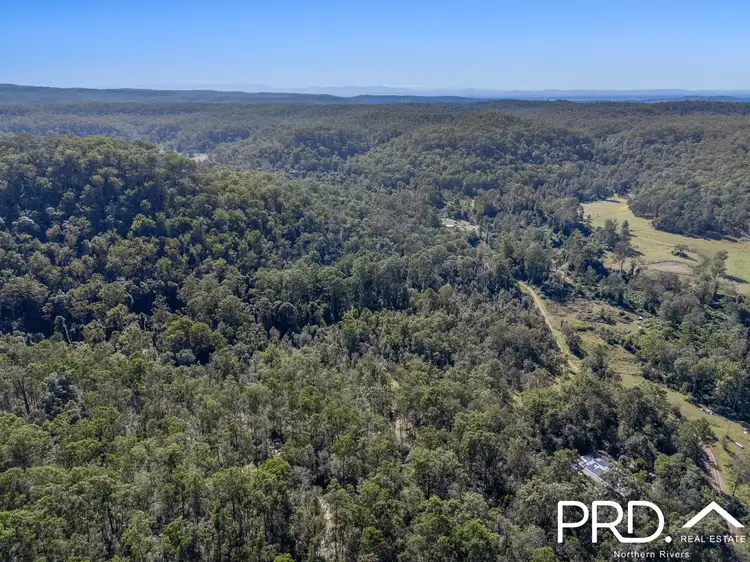 Fifth view of Homely rural property listing, 115 Upper Cherry Tree Road, Upper Mongogarie NSW 2470