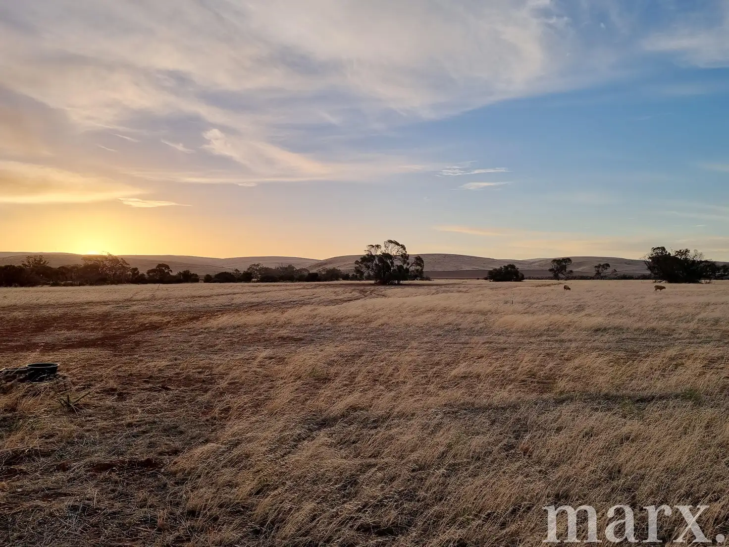 Main view of Homely land listing, 23 Third Street, Towitta SA 5353