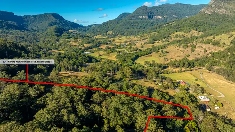 Fourth view of Homely rural property listing, 2941 Nerang Murwillumbah Road, Natural Bridge QLD 4211