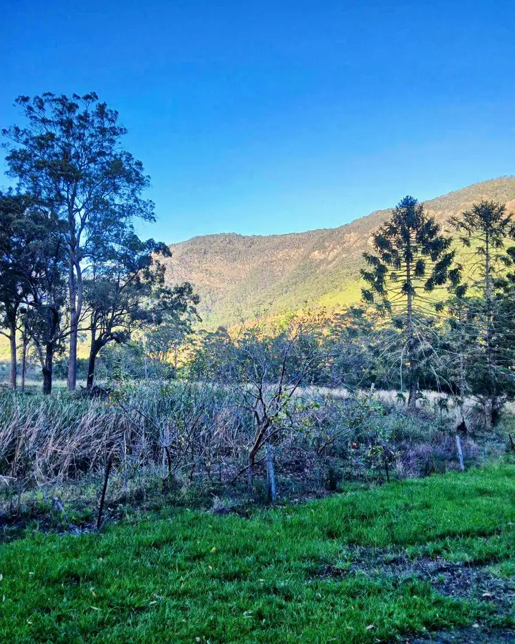 Sixth view of Homely rural property listing, 2941 Nerang Murwillumbah Road, Natural Bridge QLD 4211
