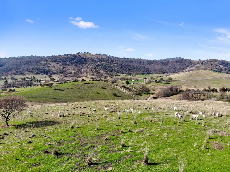 Second view of Homely land listing, LOT 514 Back Sandy Gully Road, Adelong NSW 2729