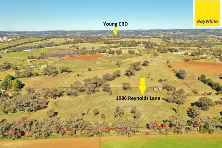Main view of Homely land listing, Lot 1986 Reynolds Lane, Young NSW 2594