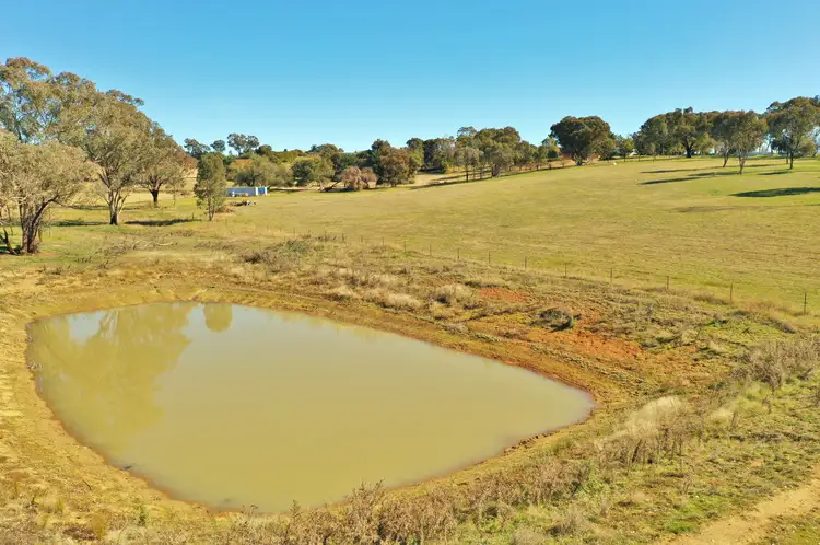 Fifth view of Homely land listing, Lot 1986 Reynolds Lane, Young NSW 2594