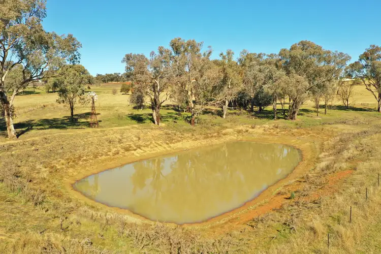Sixth view of Homely land listing, Lot 1986 Reynolds Lane, Young NSW 2594