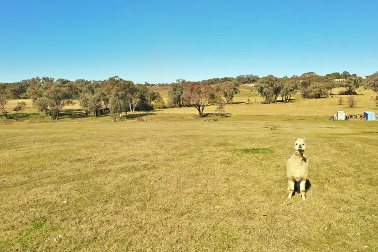 Seventh view of Homely land listing, Lot 1986 Reynolds Lane, Young NSW 2594