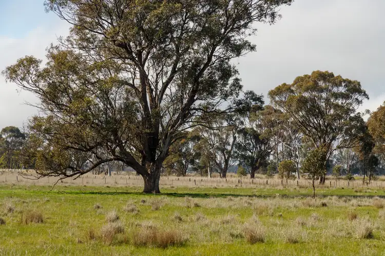 Third view of Homely land listing, 2425 Rushworth - Tatura Rd, Tatura VIC 3616