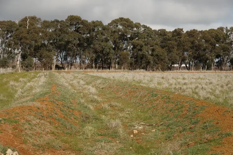 Fifth view of Homely land listing, 2425 Rushworth - Tatura Rd, Tatura VIC 3616