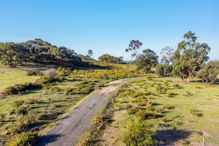 Seventh view of Homely rural property listing, 11 Delma Court, Beveridge VIC 3753