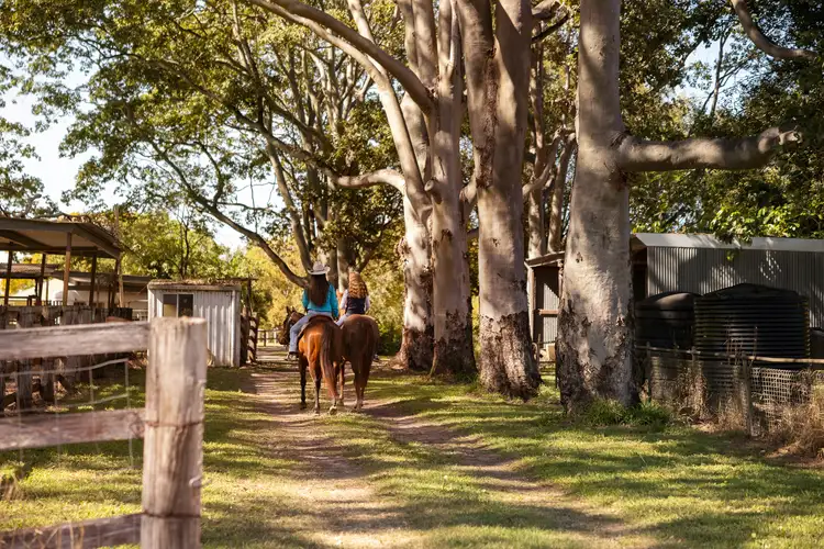 Second view of Homely house listing, 113 Sunridge Road, Eudlo QLD 4554