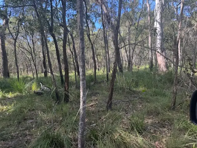 Seventh view of Homely land listing, 130 Dillon Rd, Captain Creek QLD 4677