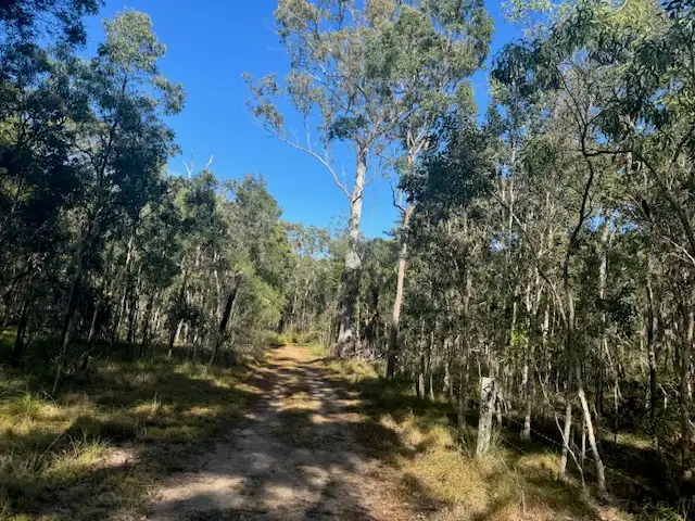 Seventh view of Homely rural property listing, 130 Dillon Rd., Captain Creek QLD 4677
