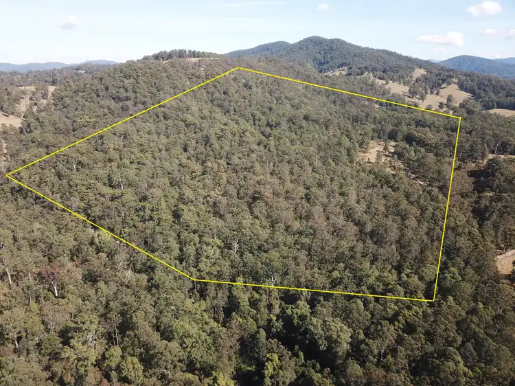 Main view of Homely rural property listing, 85 Misty Ridge Road, Bellangry NSW 2446