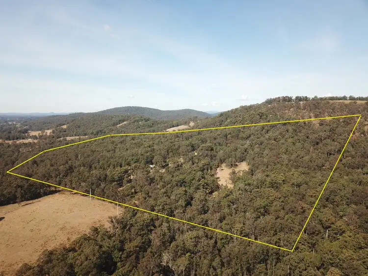 Second view of Homely rural property listing, 85 Misty Ridge Road, Bellangry NSW 2446