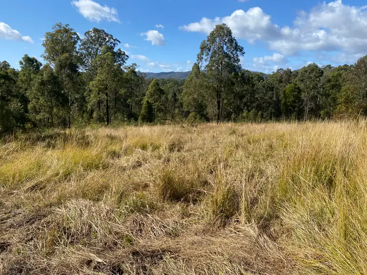 Third view of Homely rural property listing, 85 Misty Ridge Road, Bellangry NSW 2446