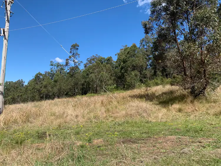 Fifth view of Homely rural property listing, 85 Misty Ridge Road, Bellangry NSW 2446