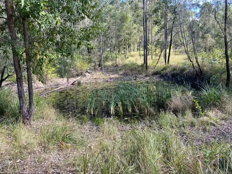 Seventh view of Homely rural property listing, 85 Misty Ridge Road, Bellangry NSW 2446