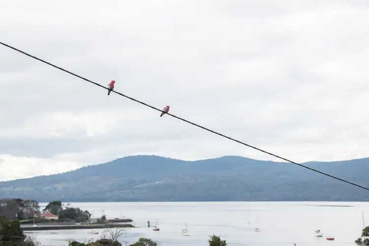 Second view of Homely house listing, 151 Gravelly Beach Road, Blackwall TAS 7275