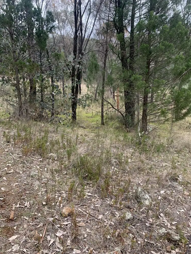 Third view of Homely land listing, 476 Pipe Clay Road, Koorawatha NSW 2807
