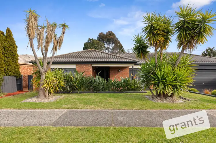 3 Celestine Court, Narre Warren VIC 3805