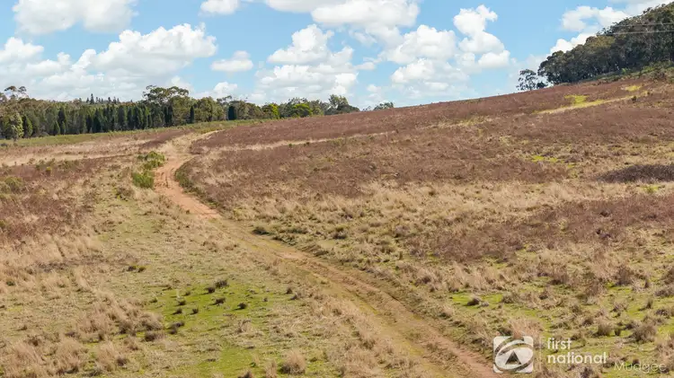 Third view of Homely rural property listing, 189 Montaza Road, Gulgong NSW 2852