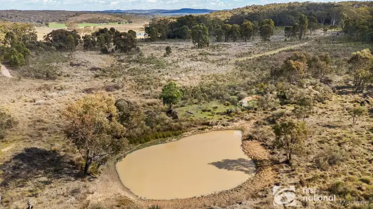 Fifth view of Homely rural property listing, 189 Montaza Road, Gulgong NSW 2852