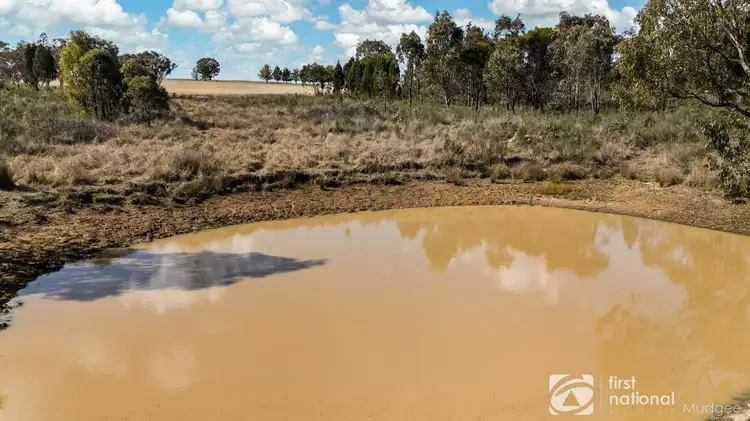 Sixth view of Homely rural property listing, 189 Montaza Road, Gulgong NSW 2852