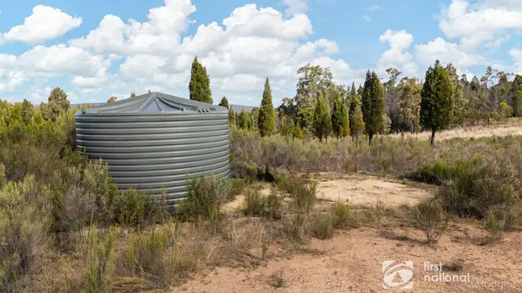 Seventh view of Homely rural property listing, 189 Montaza Road, Gulgong NSW 2852