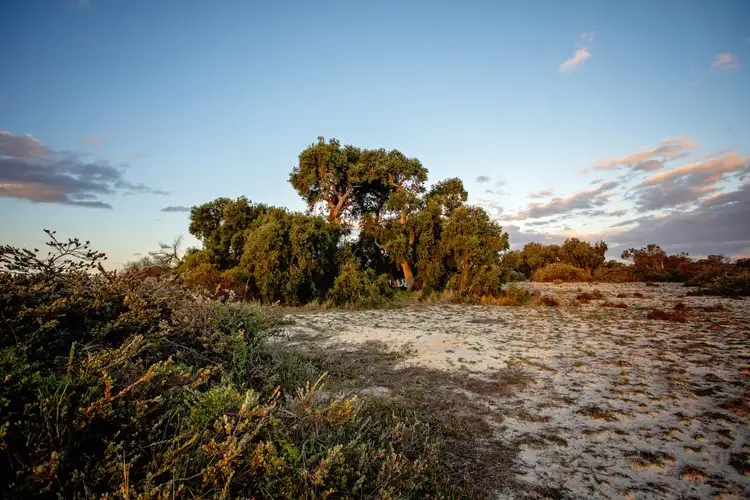 Sixth view of Homely land listing, 240 Banksia Road, Hopetoun WA 6348