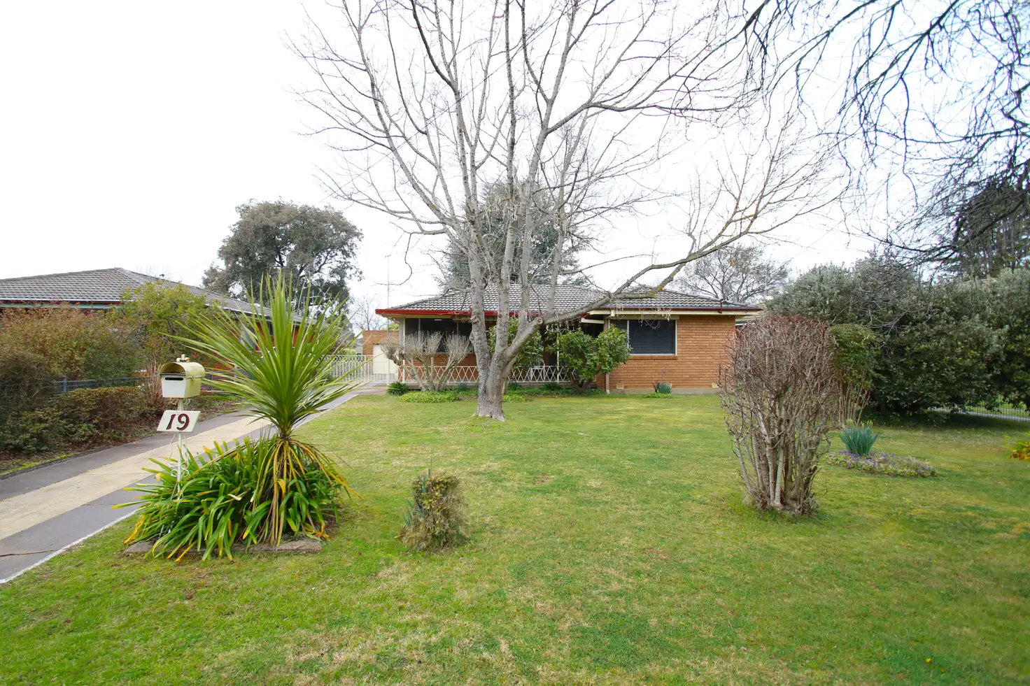 Main view of Homely house listing, 19 Lawson Crescent, Orange NSW 2800
