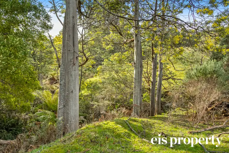 Fifth view of Homely land listing, 140 Donnellys Road, Geeveston TAS 7116