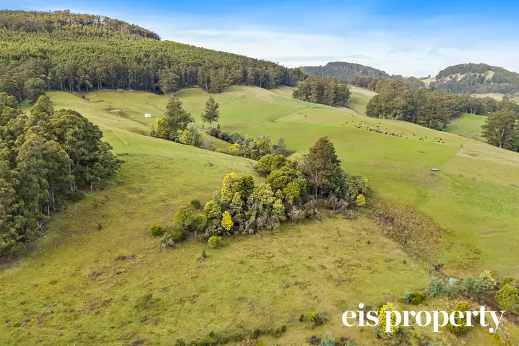 Sixth view of Homely land listing, 140 Donnellys Road, Geeveston TAS 7116