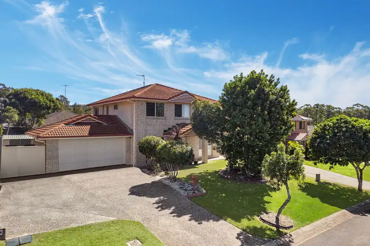 19 Bluetail Crescent, Upper Coomera QLD 4209