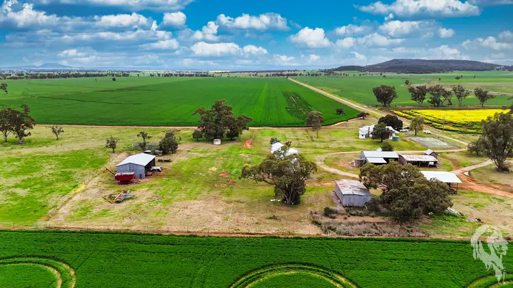 Main view of Homely rural property listing, 203 Bakers Road, Gunnedah NSW 2380