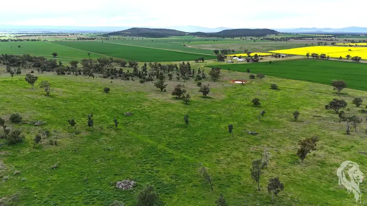 Second view of Homely rural property listing, 203 Bakers Road, Gunnedah NSW 2380