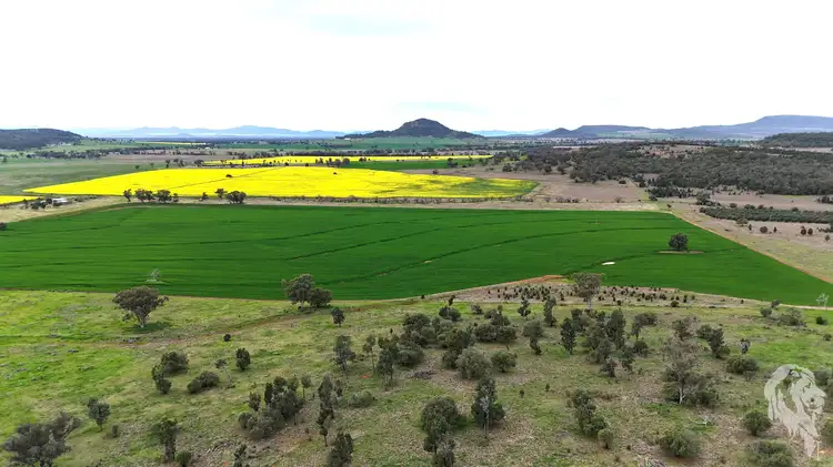 Third view of Homely rural property listing, 203 Bakers Road, Gunnedah NSW 2380