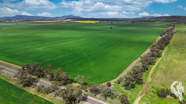 Fourth view of Homely rural property listing, 203 Bakers Road, Gunnedah NSW 2380