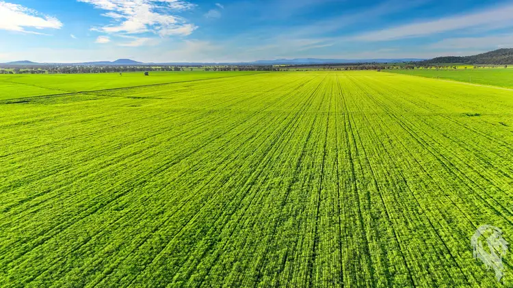 Seventh view of Homely rural property listing, 203 Bakers Road, Gunnedah NSW 2380