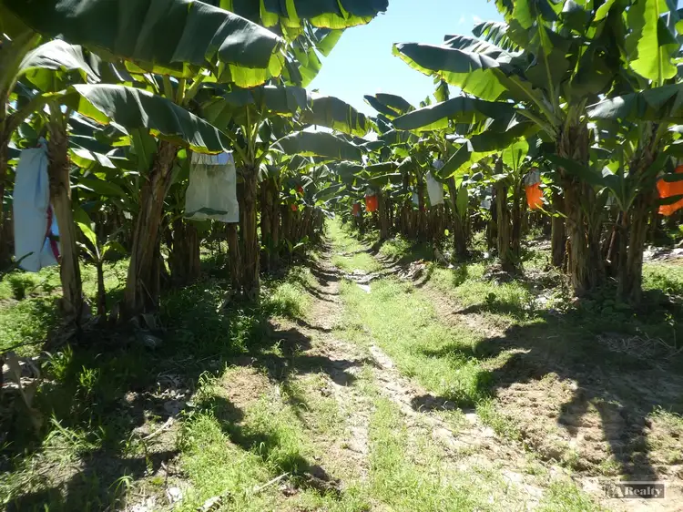 Third view of Homely rural property listing, Address available on request