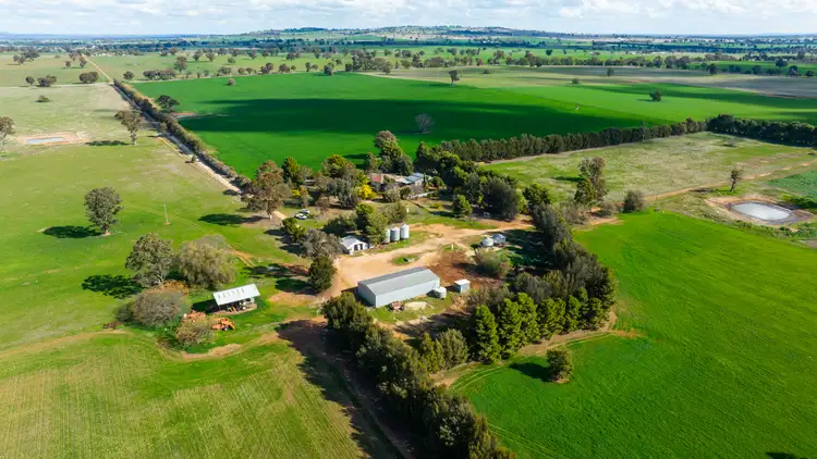 783 Munyaplah Boundry Road, Alma Park NSW 2659