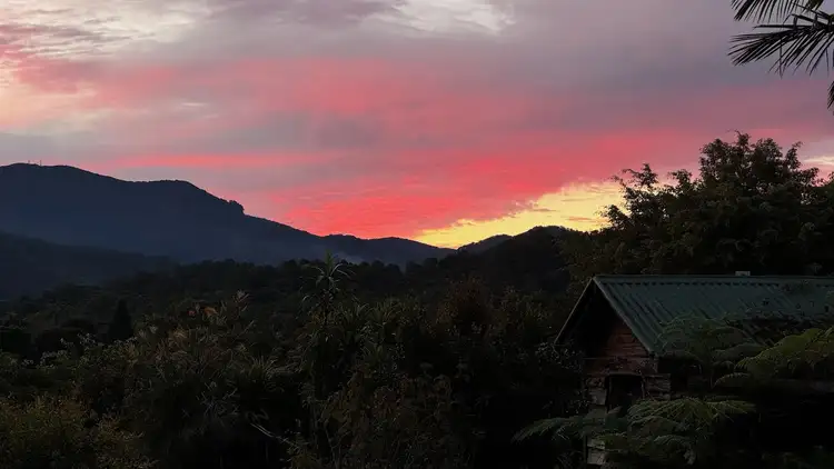 Third view of Homely rural property listing, 5 Booyong Place, Nobbys Creek NSW 2484