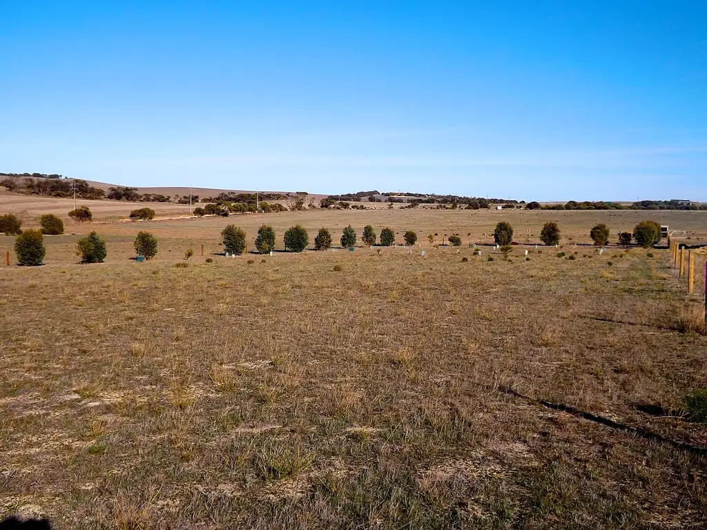 Main view of Homely land listing, 7 Kennedy Road, Streaky Bay SA 5680