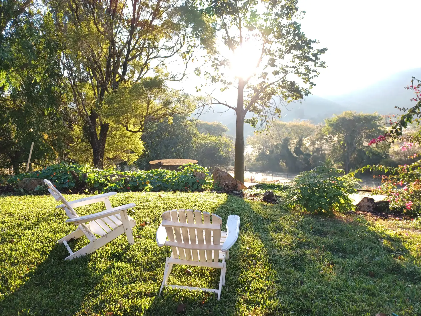 Main view of Homely rural property listing, 49 Stokes Road, Pine Mountain QLD 4306