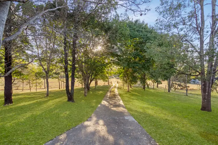 Fourth view of Homely rural property listing, 49 Stokes Road, Pine Mountain QLD 4306