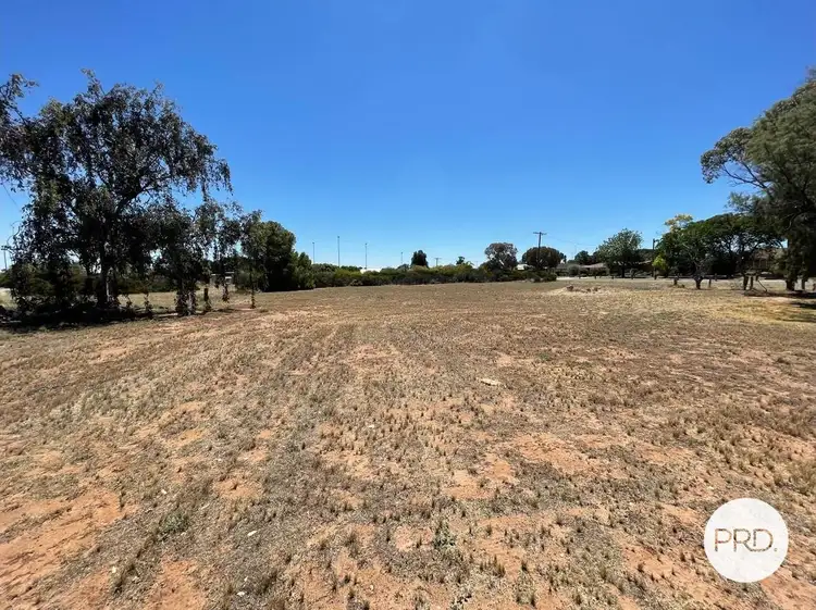Third view of Homely land listing, Lot 1 & 2 Ussing Street, Woomelang VIC 3485
