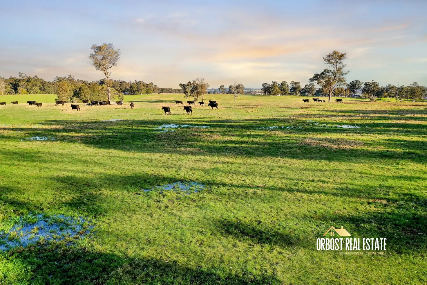 Main view of Homely rural property listing, 46 Murphys Lane, Orbost VIC 3888